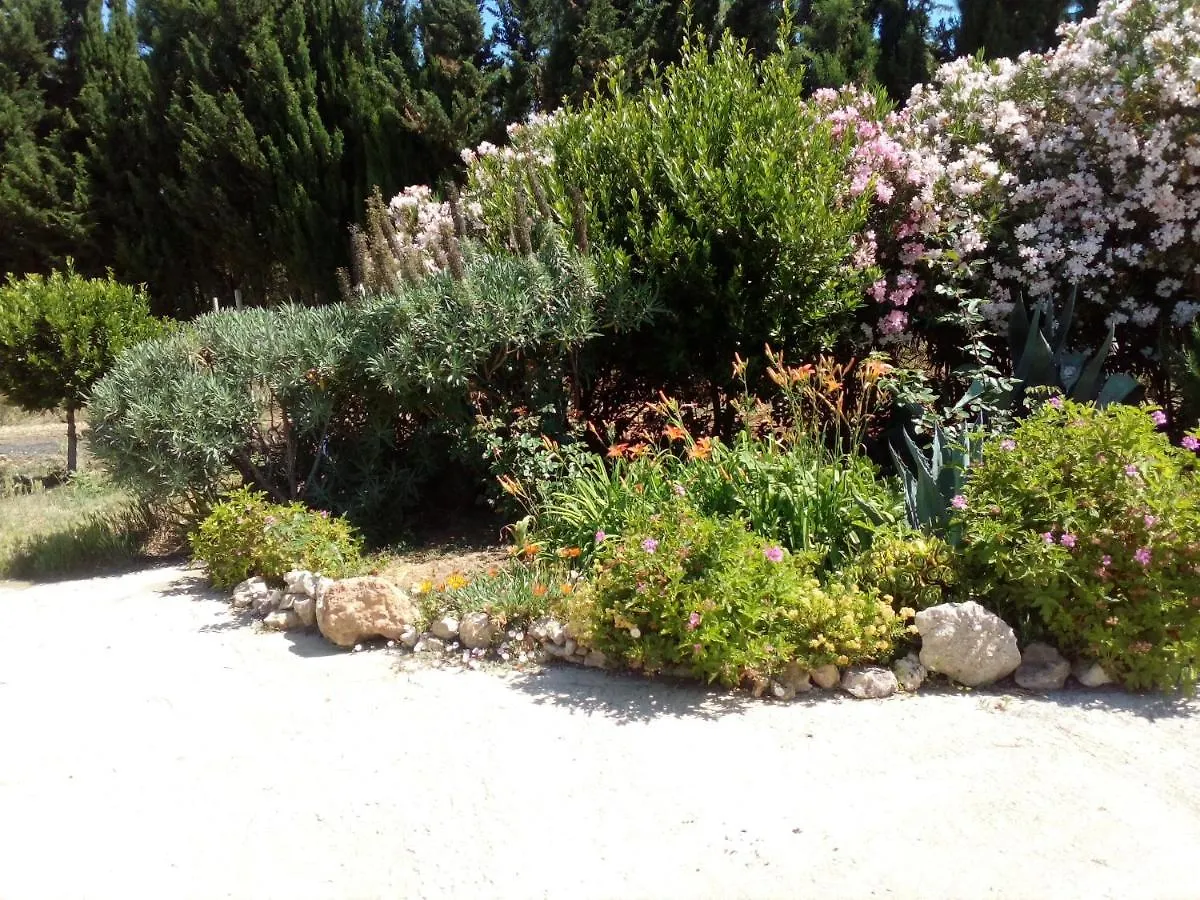Il Giardino Delle Rose A Lejlighed Olmedo Italien