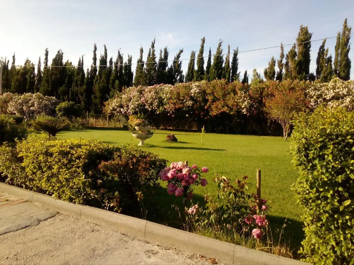 Il Giardino Delle Rose A Lejlighed Olmedo 0*,
