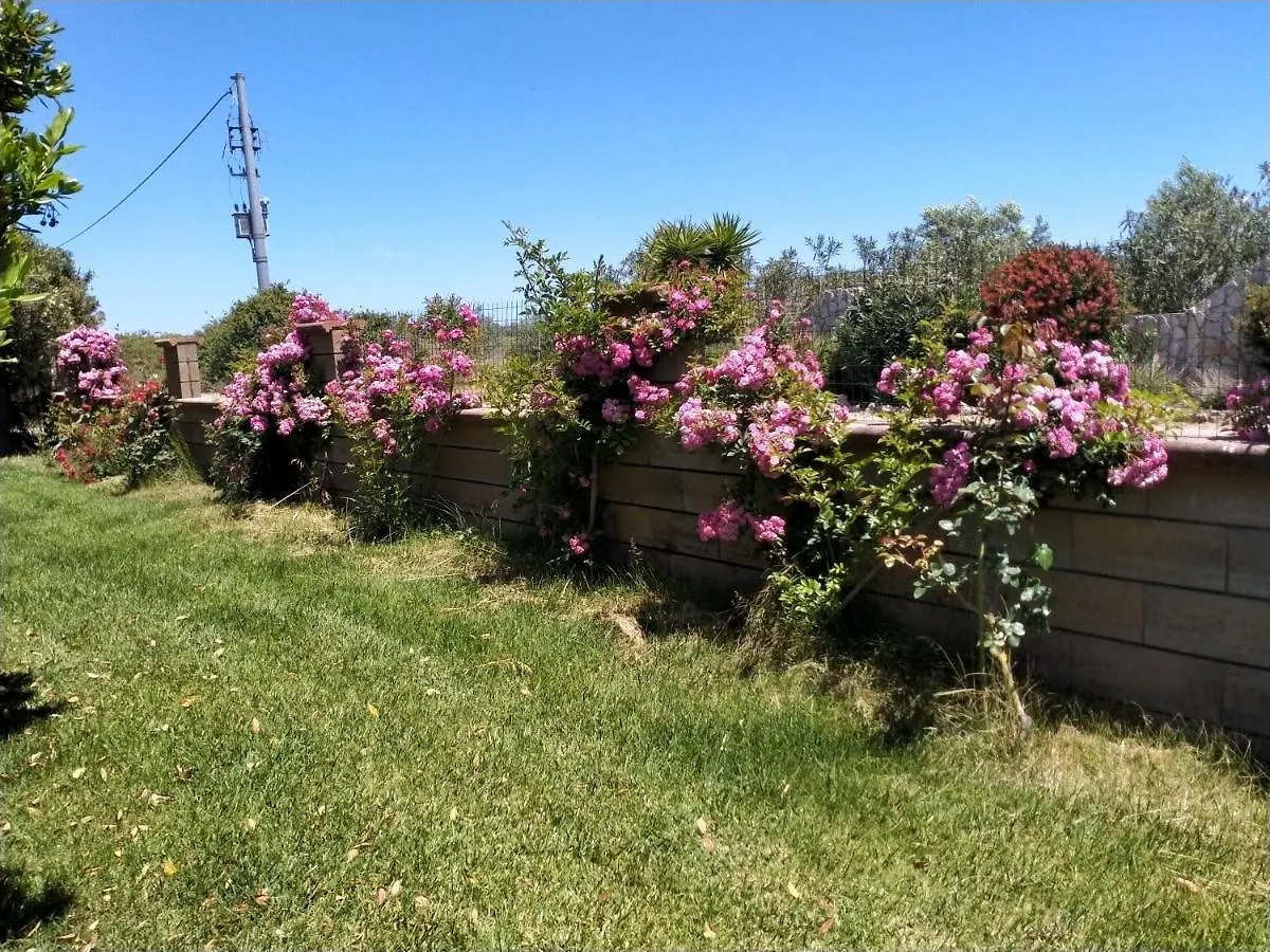 Il Giardino Delle Rose A Lejlighed Olmedo