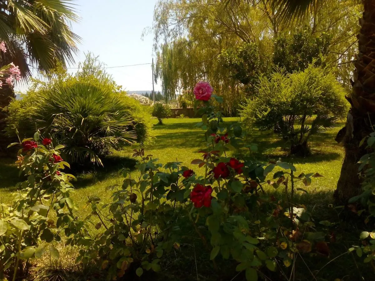 Il Giardino Delle Rose A Lejlighed Olmedo