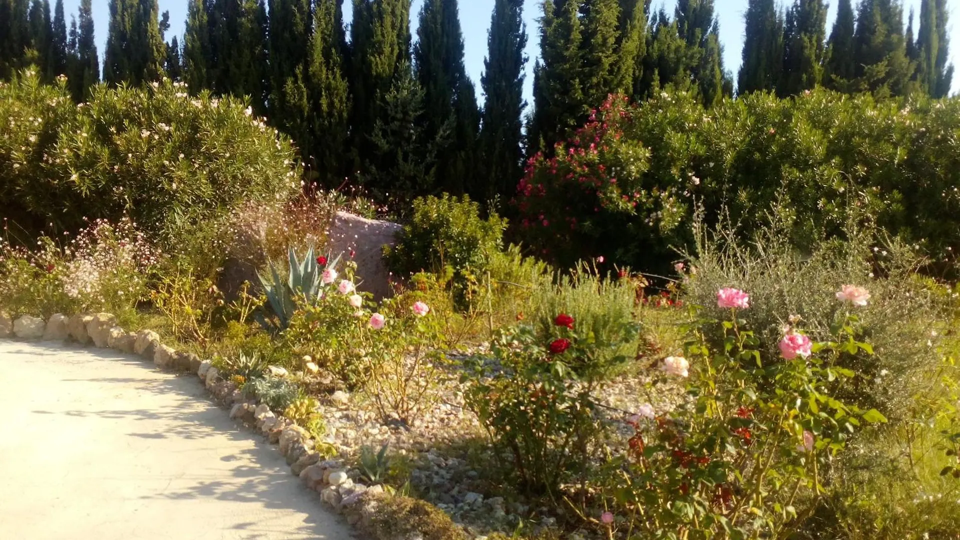 Il Giardino Delle Rose A Lejlighed Olmedo Italien