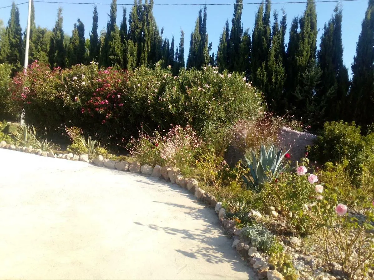 Il Giardino Delle Rose A Lejlighed Olmedo