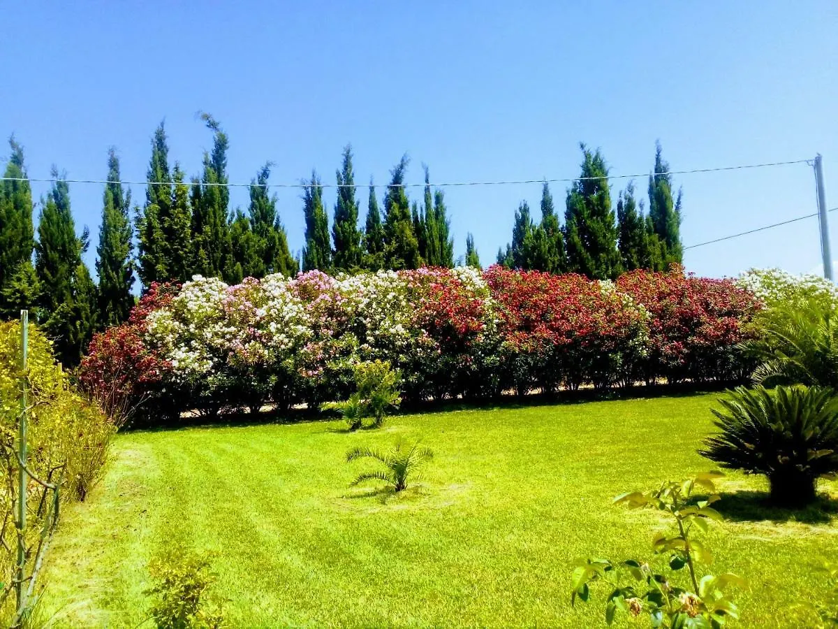 Il Giardino Delle Rose A Lejlighed Olmedo Italien