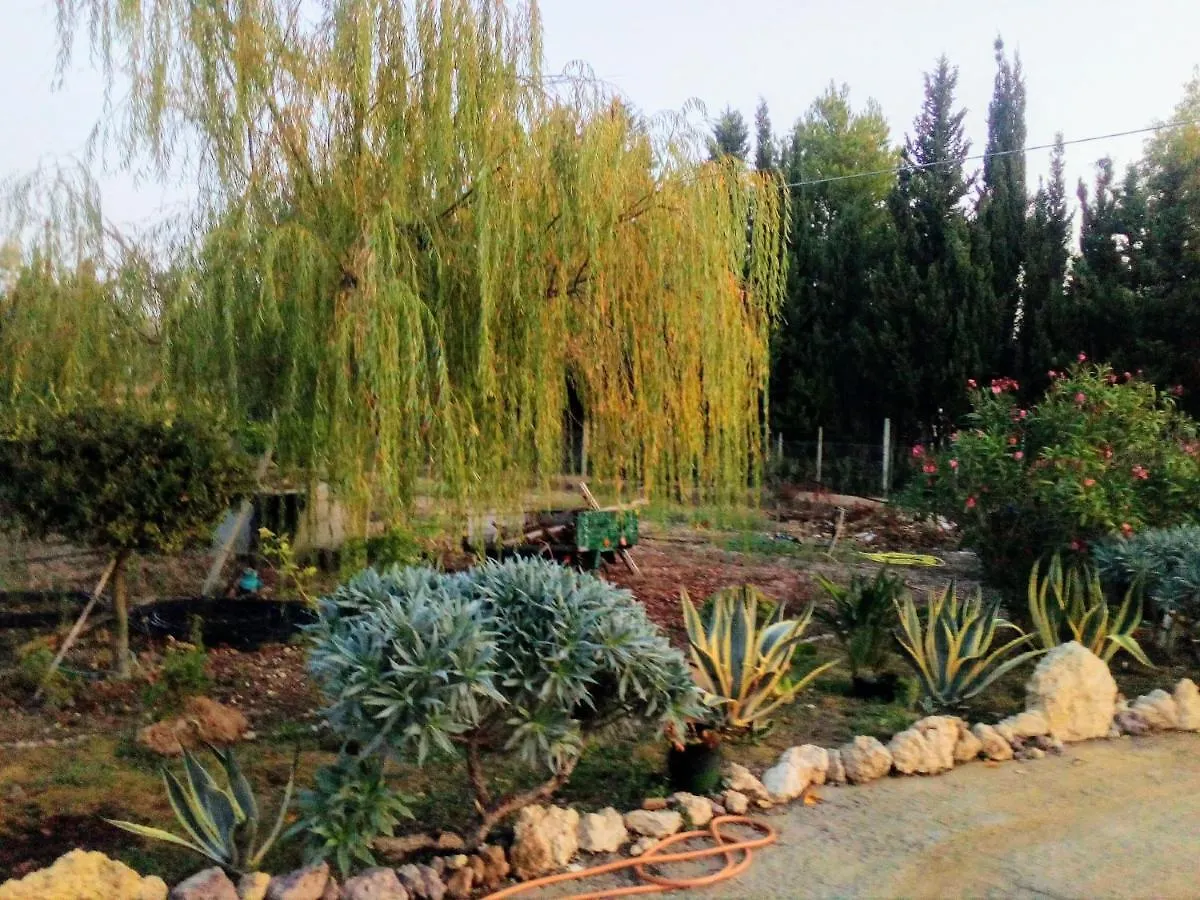Апартаменты Il Giardino Delle Rose A Ольмедо