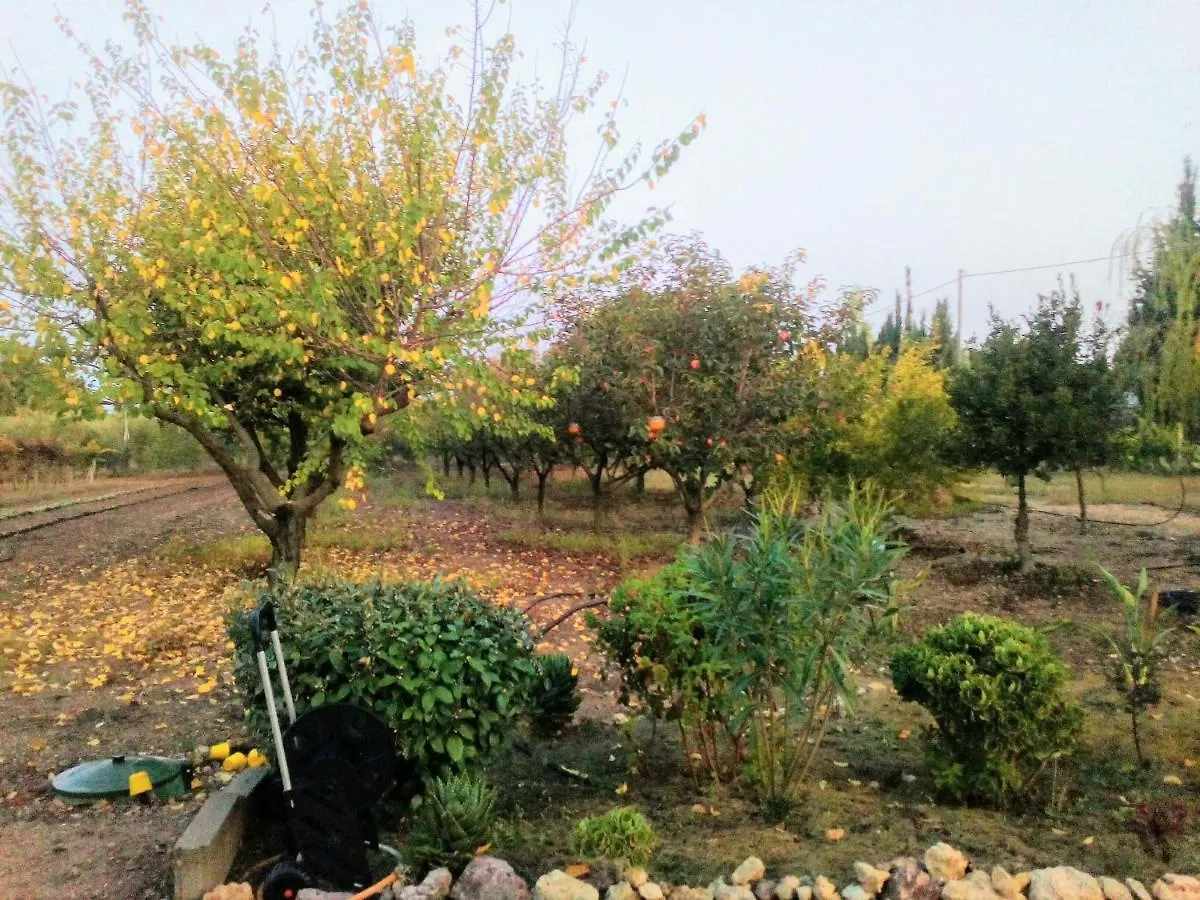Апартаменты Il Giardino Delle Rose A Ольмедо Италия